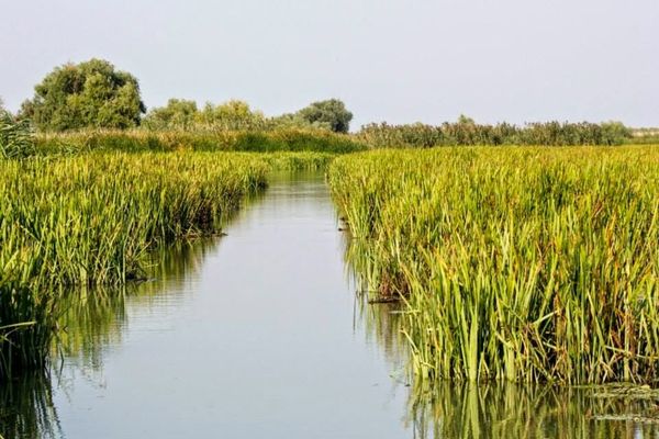Când politica ajunge la Periprava