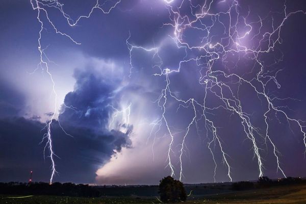 Competiția învinșilor