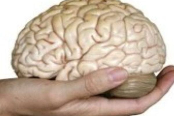 CUM ESTE O ZI DIN VIATA UNUI OM DE STAT?