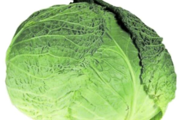 ESTE VARZA O SOLUTIE!