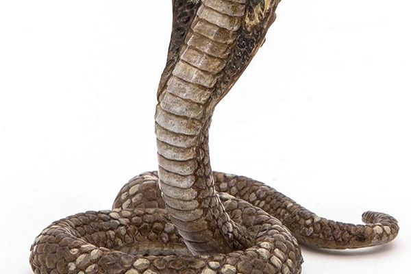 EXISTA UN ASASIN TĂCUT IN VIRUS?