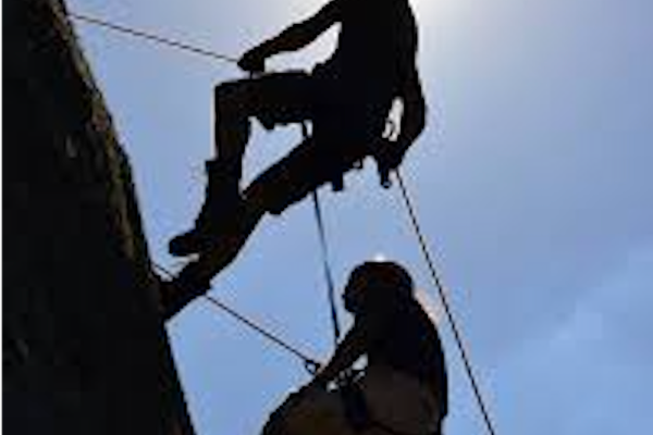 INVAZIA ATARNATORILOR?