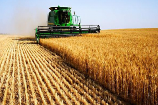 Chesnoiu vrea să le taie banii procesatorilor care vând scump