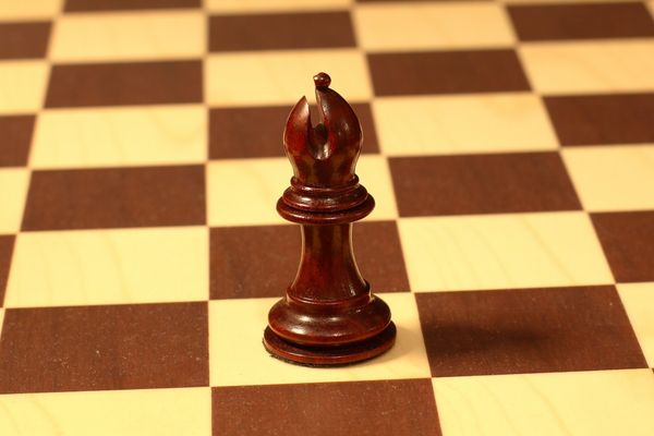 SE SACRIFICA ȘI NEBUNII?