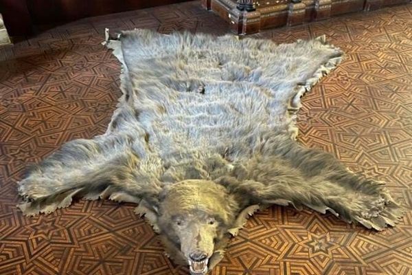 Adrian Năstase a descoperit blana străbunicului lui Arthur