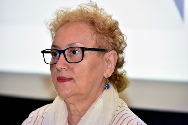 PSD așteaptă contestarea ordonanțelor pe alocațiile copiilor și sănătate după repunerea în funcție a Renatei Weber 