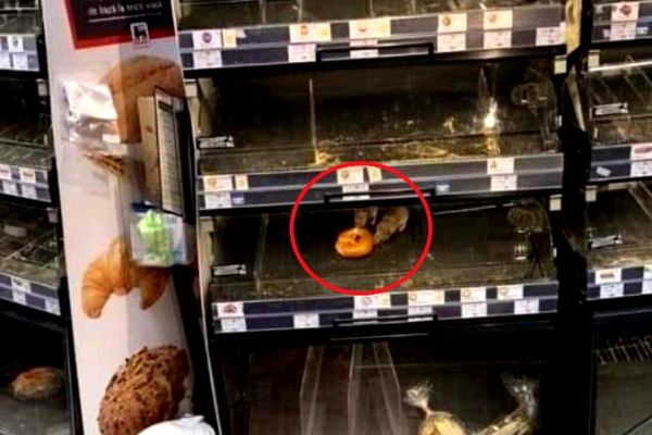 Prins cu șobolanul în raft, supermarketul Mega Image a primit "uluitoarea" amendă de 10.000 de lei