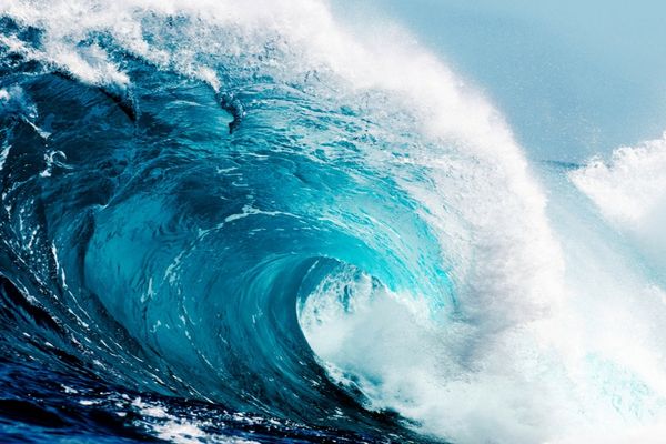 Istoria PSD în criza facturilor