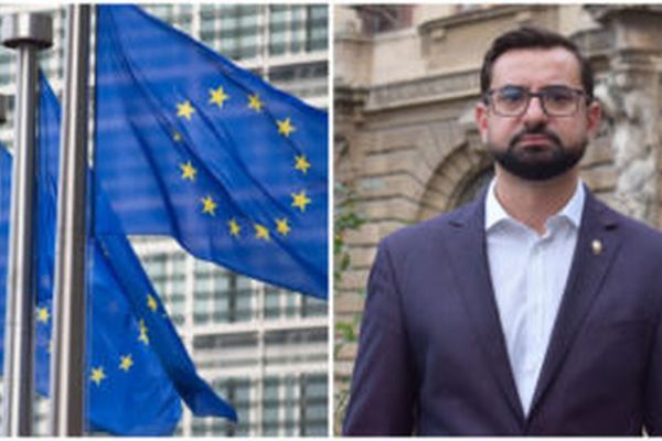 Fronda lui Chesnoiu de la Bruxelles