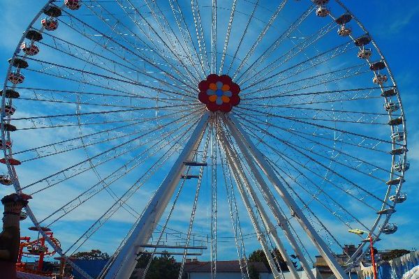 NE ÎNVÂRTIM INTR-O LUME NEBUNA? 