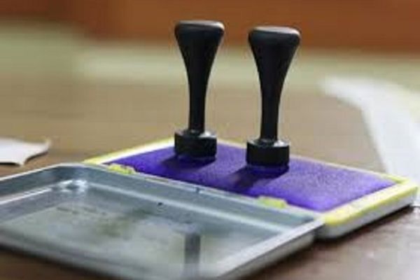 PSD câștigă detașat alegerile în județul Bacău: Cristina Pravat, noul președinte de CJ