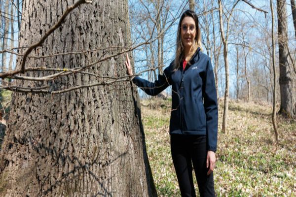 Ședință de guvern tensionată. PSD așteaptă demisia sau demiterea ministresei de la Mediu