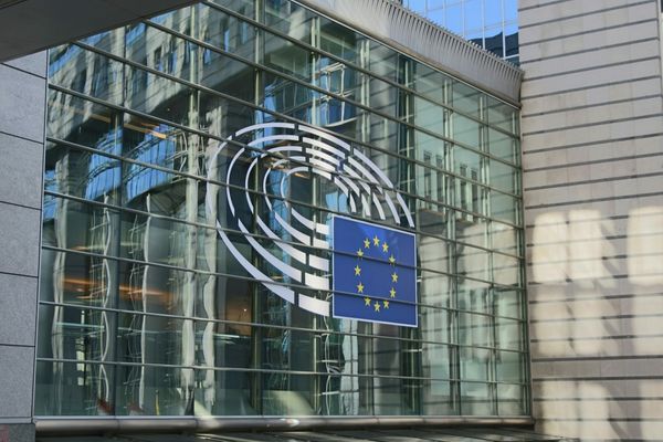 Alegeri Europarlamentare 2024 - LIVE TEXT. Rezultate exit-poll: Alianța PSD-PNL, pe primul loc, urmată de AUR 