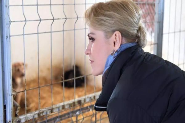 Gabriela Firea: Voi continua, după 9 iunie, proiectele de promovare a adopţiilor din adăposturile ASPA. Planurile candidatei la Capitală