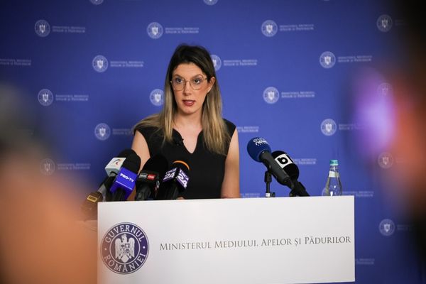 Fost judecător și membru CSM: Diana Buzoianu trebuie să fie demisă de Bolojan