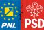 PNL, ultimatum către PSD: Să vină cu o soluție sau să stea deoparte