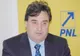 Fostul deputat PNL, milionarul Mihai Lupu, a clădit un imperiu abonându-și fiica la banul public