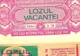 JUCAM VIITORUL LA LOZ IN PLIC?
