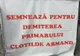 Intersecții social democrate pentru alungarea lui Clotilde Armand 